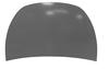 COFANO ANT TESLA MODEL Y 07/21> -allum-